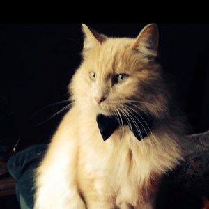 Meet your Posher, Cara